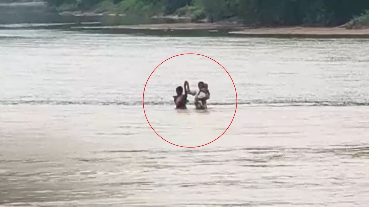 6aaf870c5625b-chhattisgarh-daughter-in-arms-river-crossing-3-km-trek-women-teachers-struggle-story-201107232-16x9